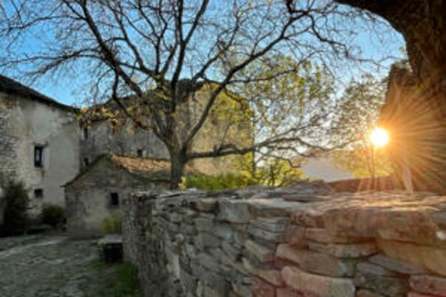 Imagen de Sus&iacute;n entre luces