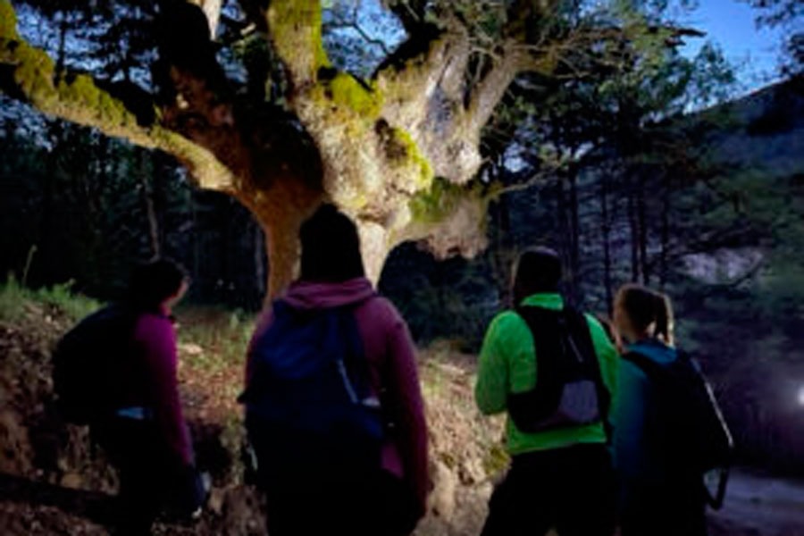 Imagen de Sus&iacute;n entre luces