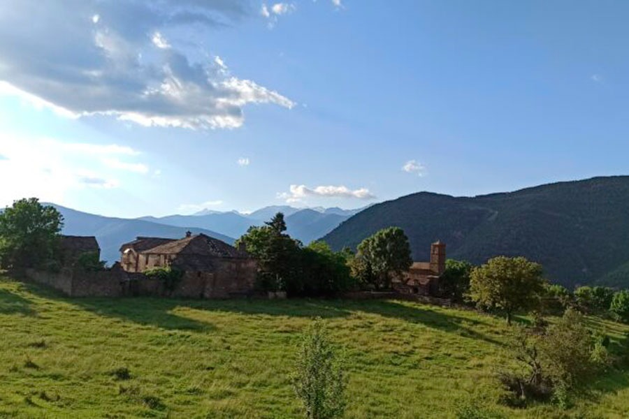 Imagen de Sus&iacute;n entre luces