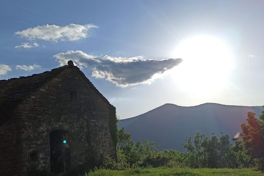 Imagen de Sus&iacute;n entre luces