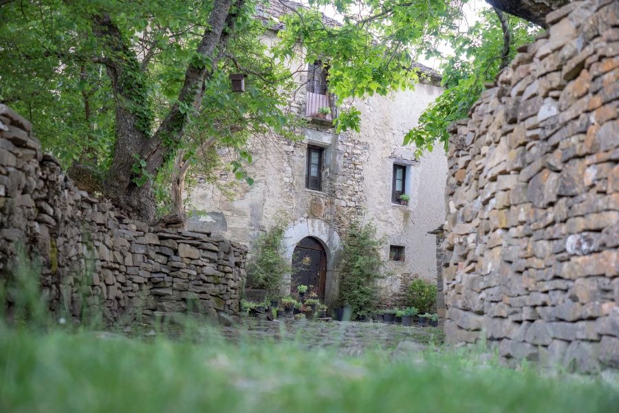 Imagen de Sus&iacute;n entre luces