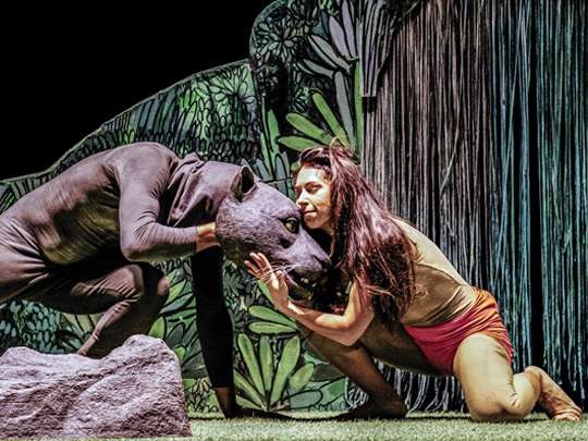 Imagen de LA MAQUIN&Eacute;: &iexcl;Soy salvaje!