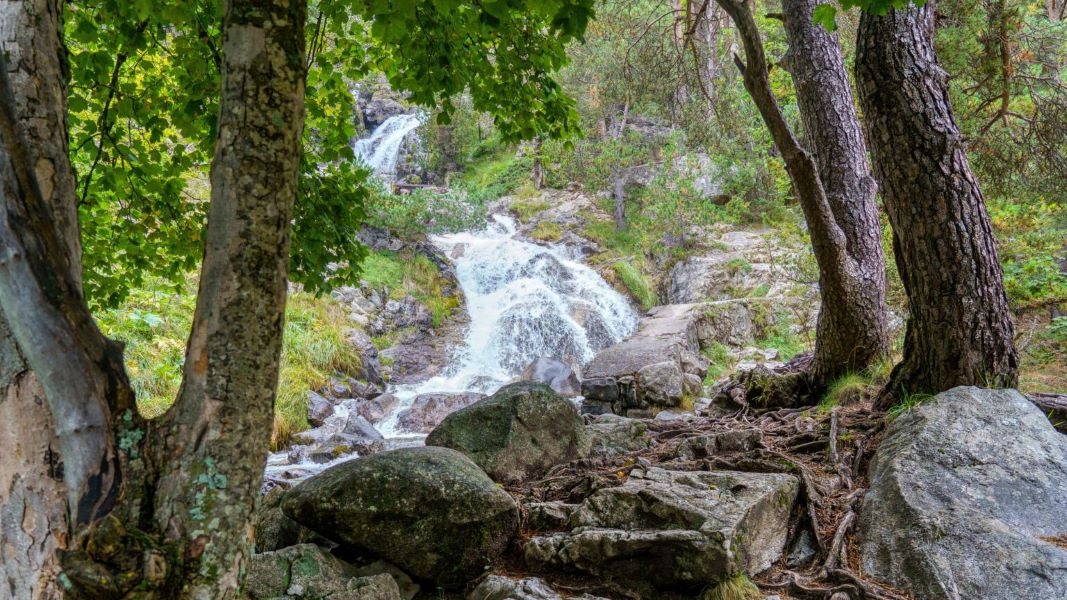 Imagen de Pirineo Gran Reserva