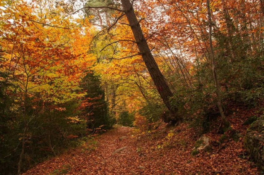 Imagen de El &uacute;ltimo hechizo del Betato