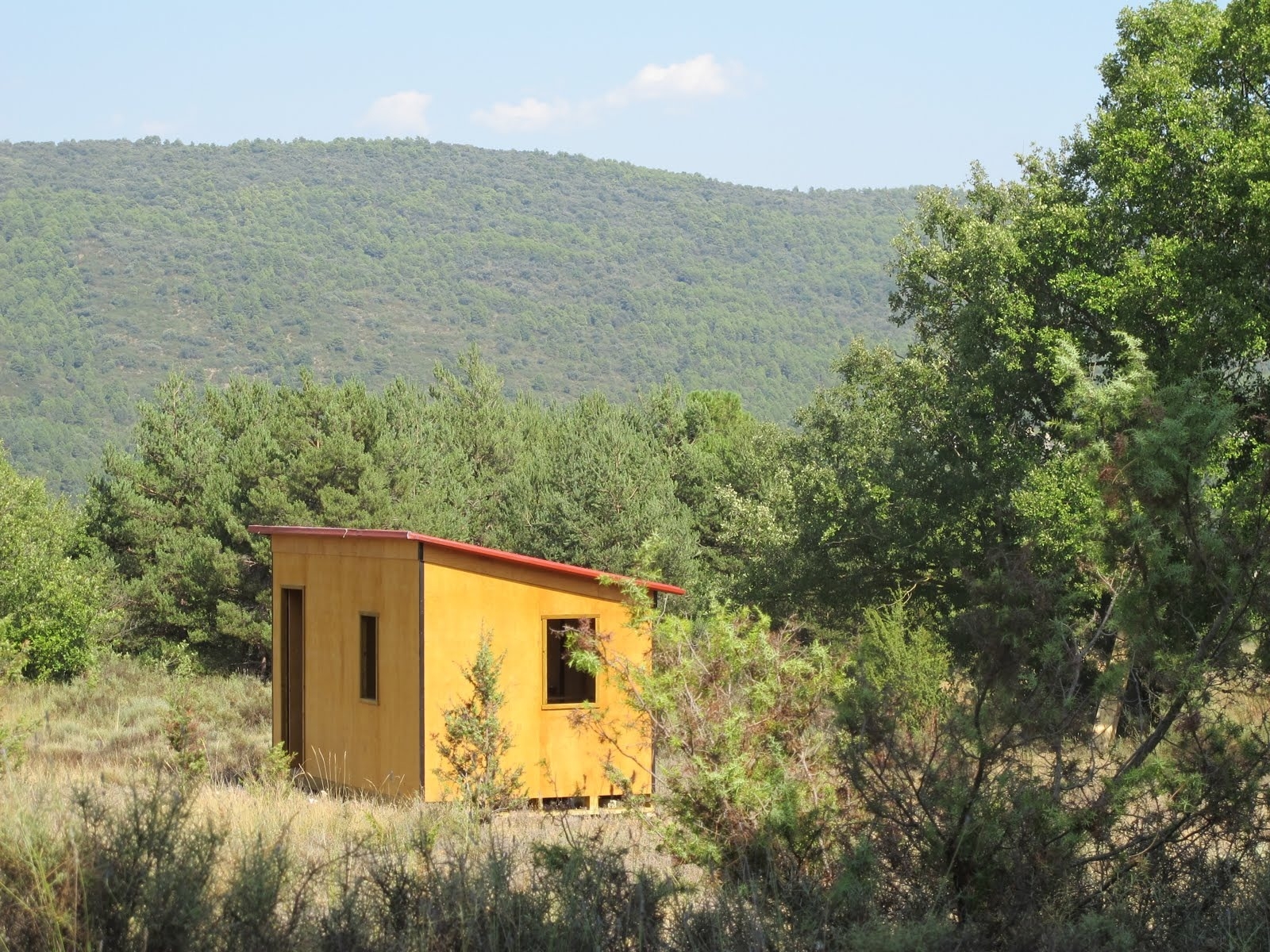 Imagen de Explorar el mundo de las abejas