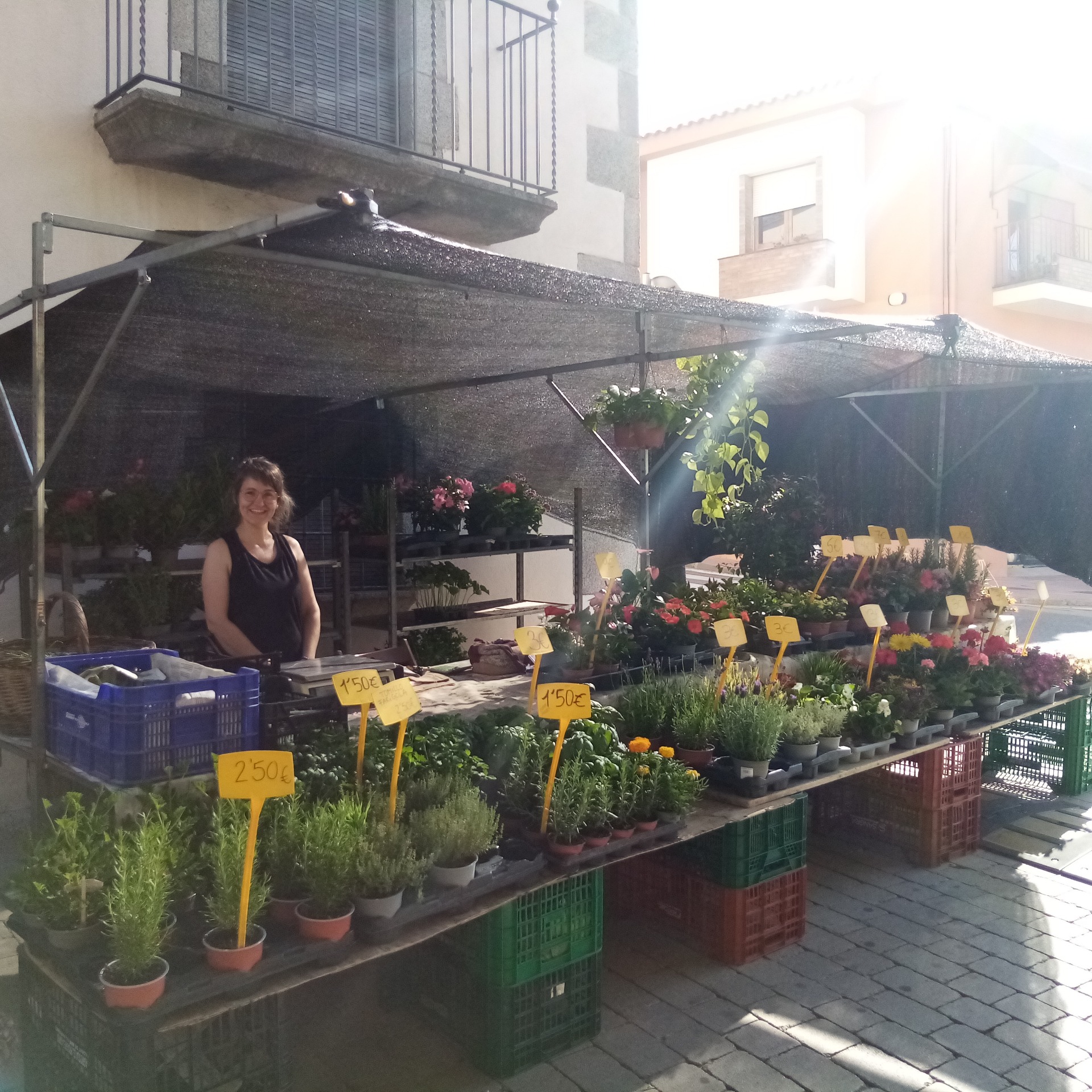 Imagen de Taller de plantes antimosquits
