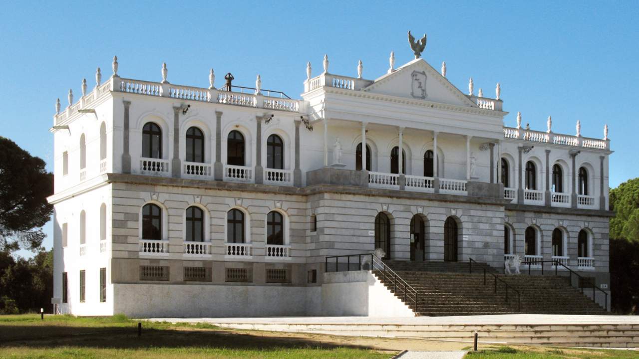 Fundaci&oacute;n Do&ntilde;ana 21