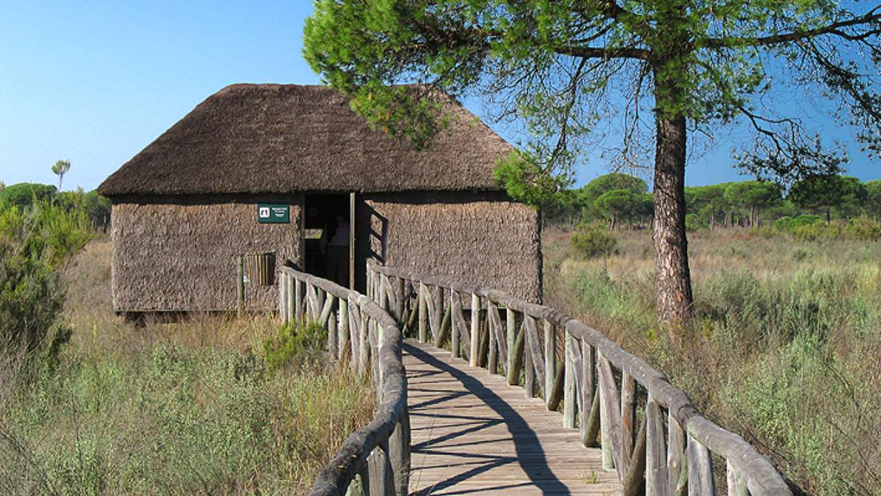 Fundaci&oacute;n Do&ntilde;ana 21
