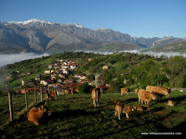 Imagen de Ruta`l Quesu y la Sidra