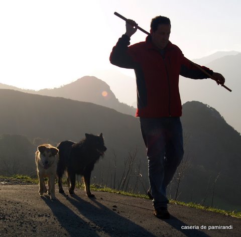 Imagen de Ruta`l Quesu y la Sidra