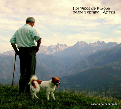 Imagen de Ruta`l Quesu y la Sidra