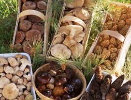 Imagen de Restaurante Casa Frauca