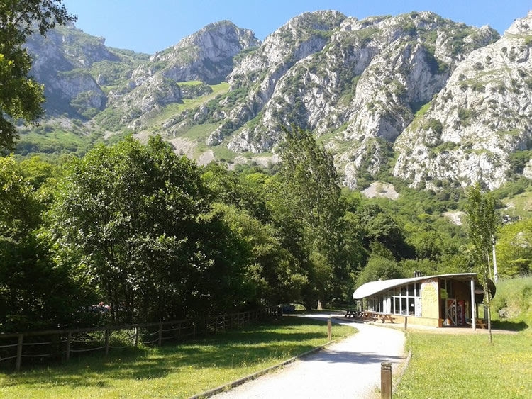 Imagen de D&Iacute;A COMPLETO Alquiler Bicicleta Senda del Oso