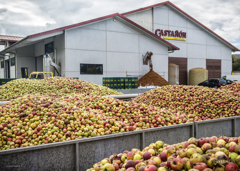 Imagen de 28.MARZO.11h-Master Class: Los Secretos de la Sidra de Asturias