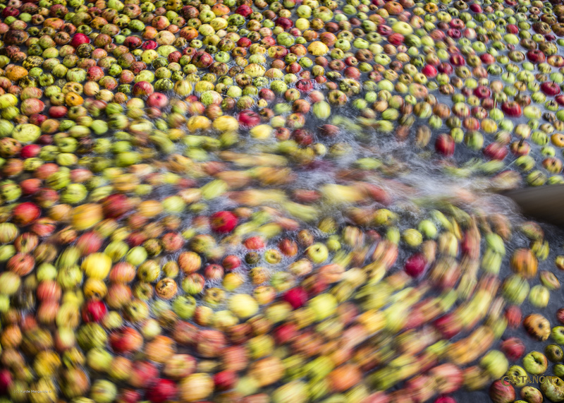 Imagen de 28.MARZO.11h-Master Class: Los Secretos de la Sidra de Asturias