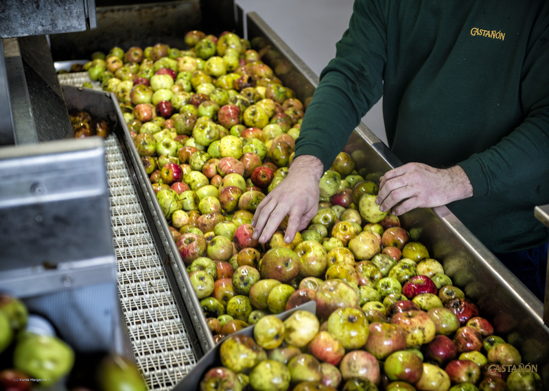 Imagen de 28.MARZO.11h-Master Class: Los Secretos de la Sidra de Asturias