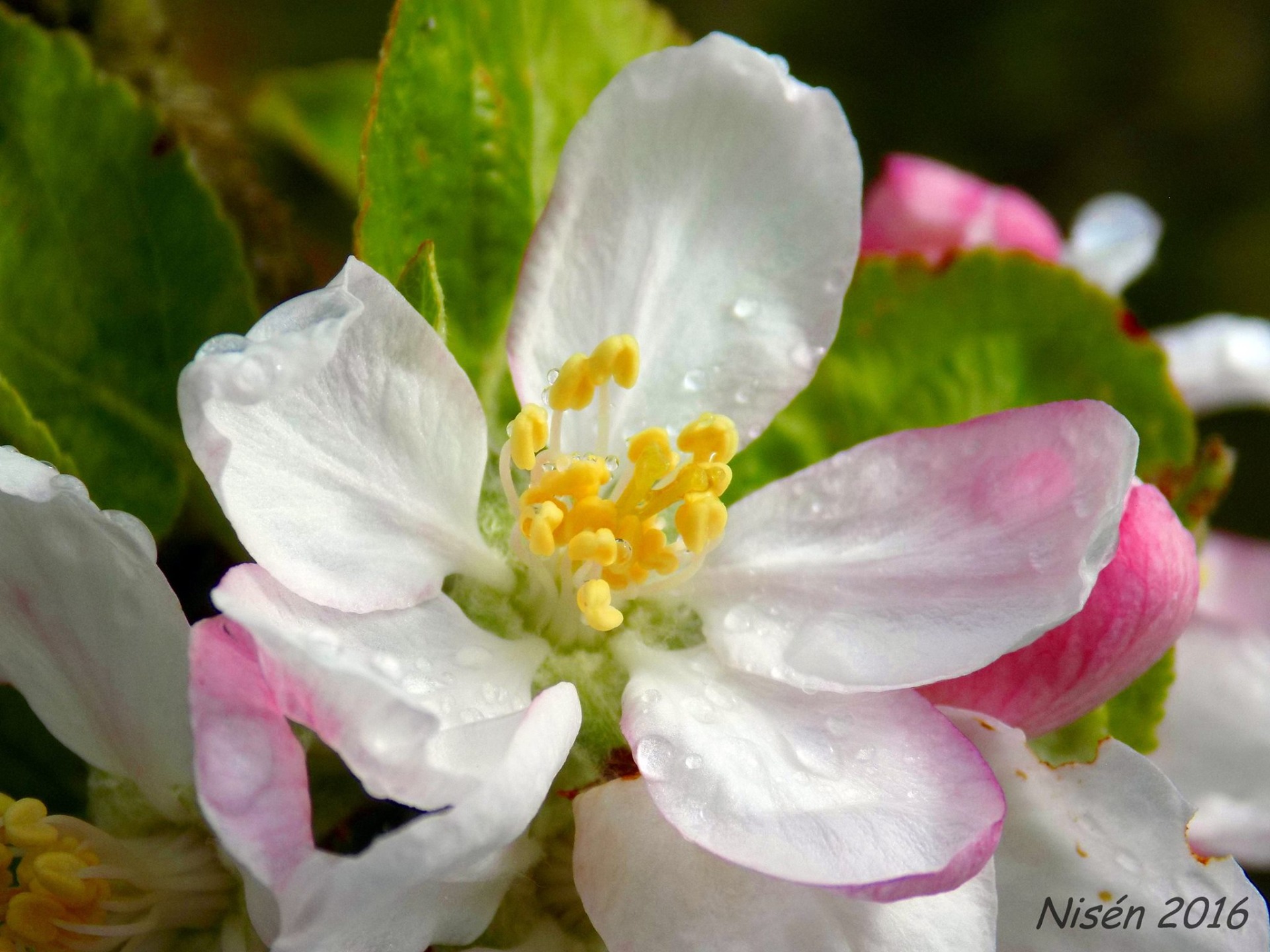 Imagen de 10MAYO. YogaMUT. Yoga & Vermut