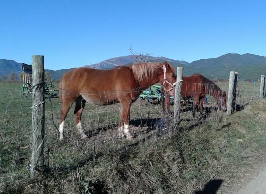 Imagen de Paseo A La Cruz Cubierta