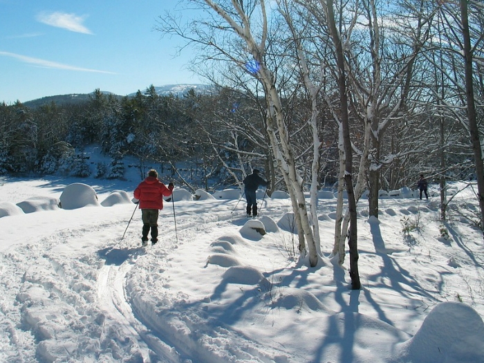 Imagen de Curso de Esquí de Fondo en Cotos