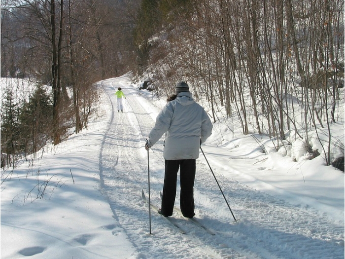 Imagen de Curso de Esquí de Fondo en Cotos