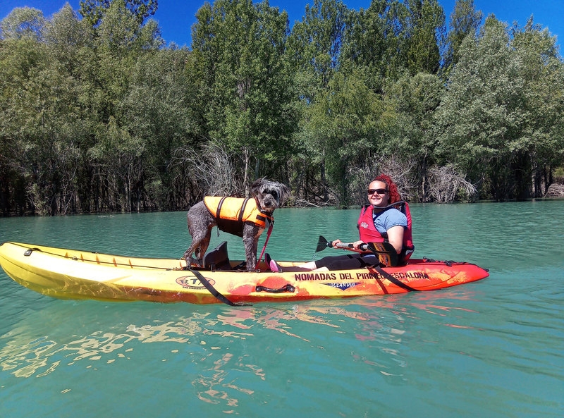 Imagen de Kayak con perros