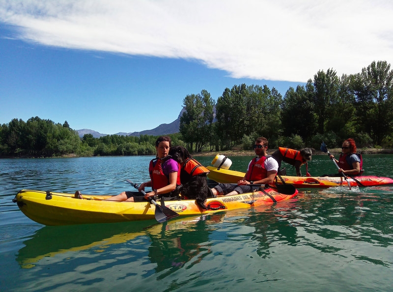 Imagen de Kayak con perros