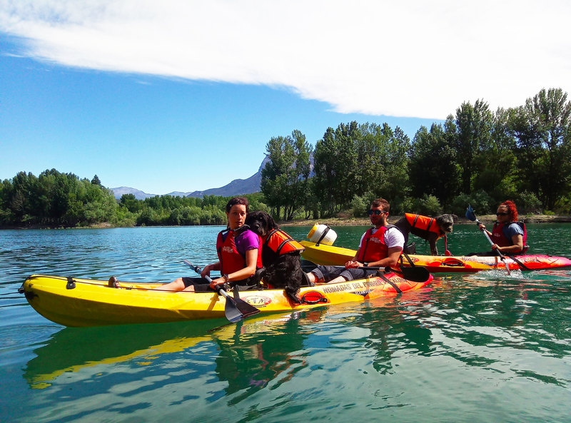 Imagen de Kayak con perros