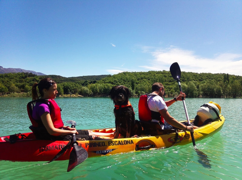 Imagen de Kayak con perros