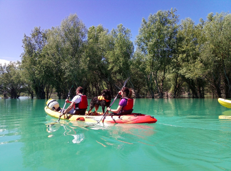 Imagen de Kayak con perros