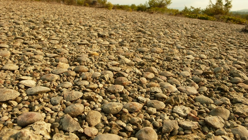 Imagen de Remonte \"ruta del Arraclán\" Santa Maria de Buil ZZ019