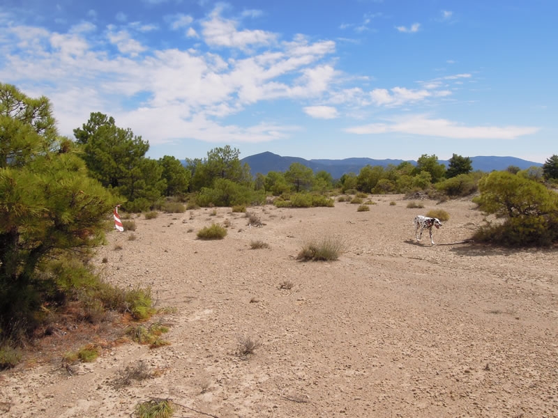 Imagen de Remonte \"ruta del Arraclán\" Santa Maria de Buil ZZ019