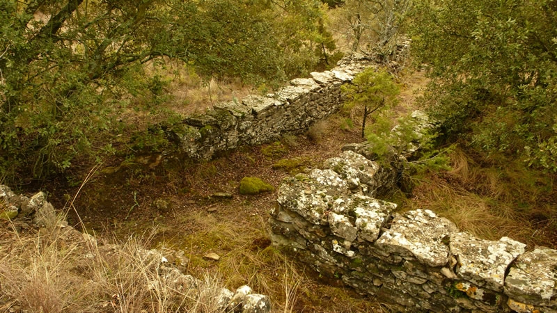 Imagen de Remonte \"ruta del Arraclán\" Santa Maria de Buil ZZ019