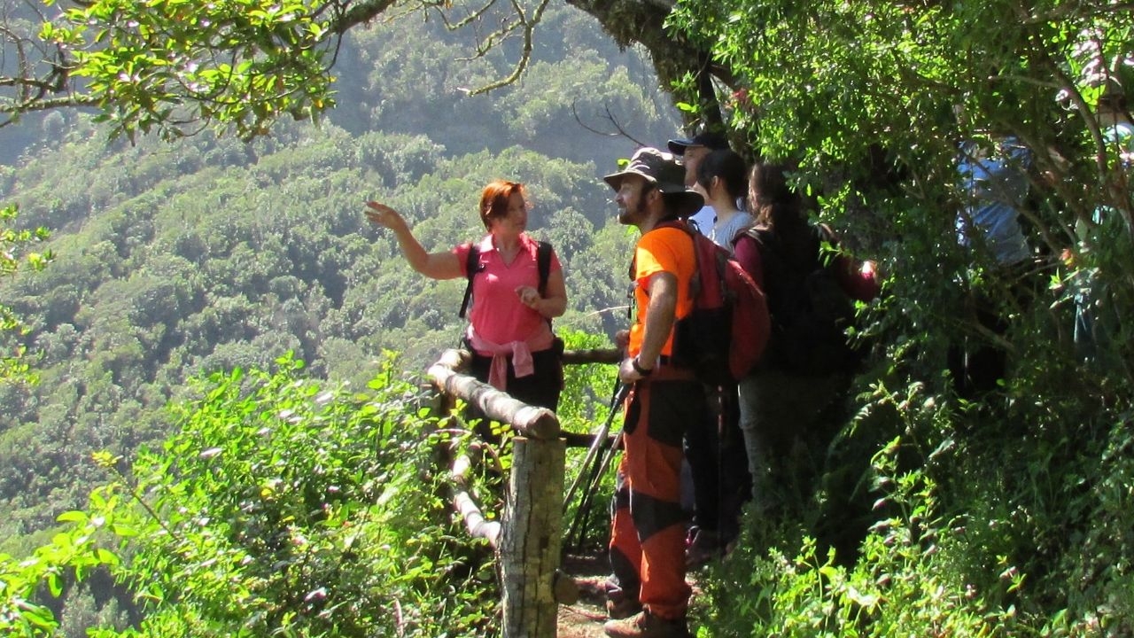 Hikers in La Gomera
