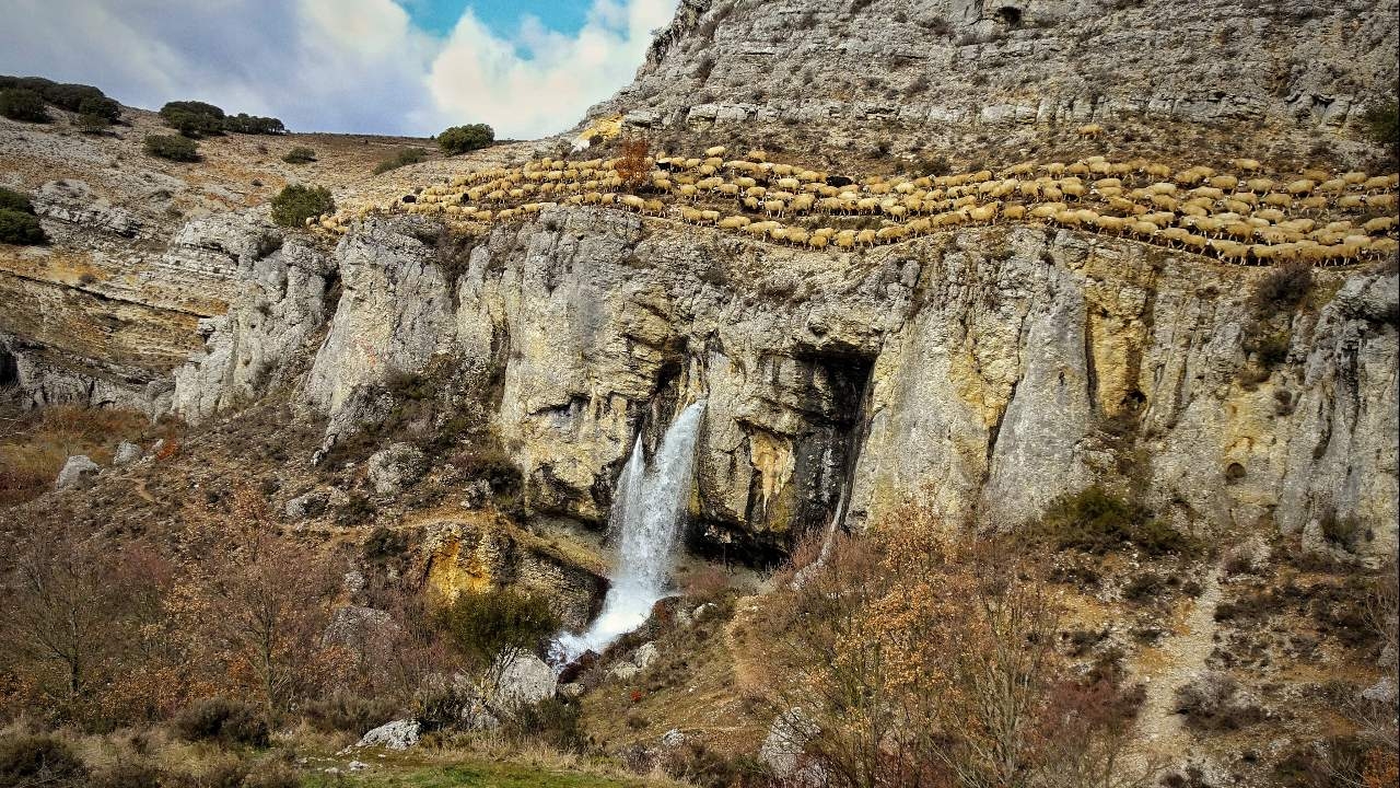 Waterfalls on a mountain with a sheep pass