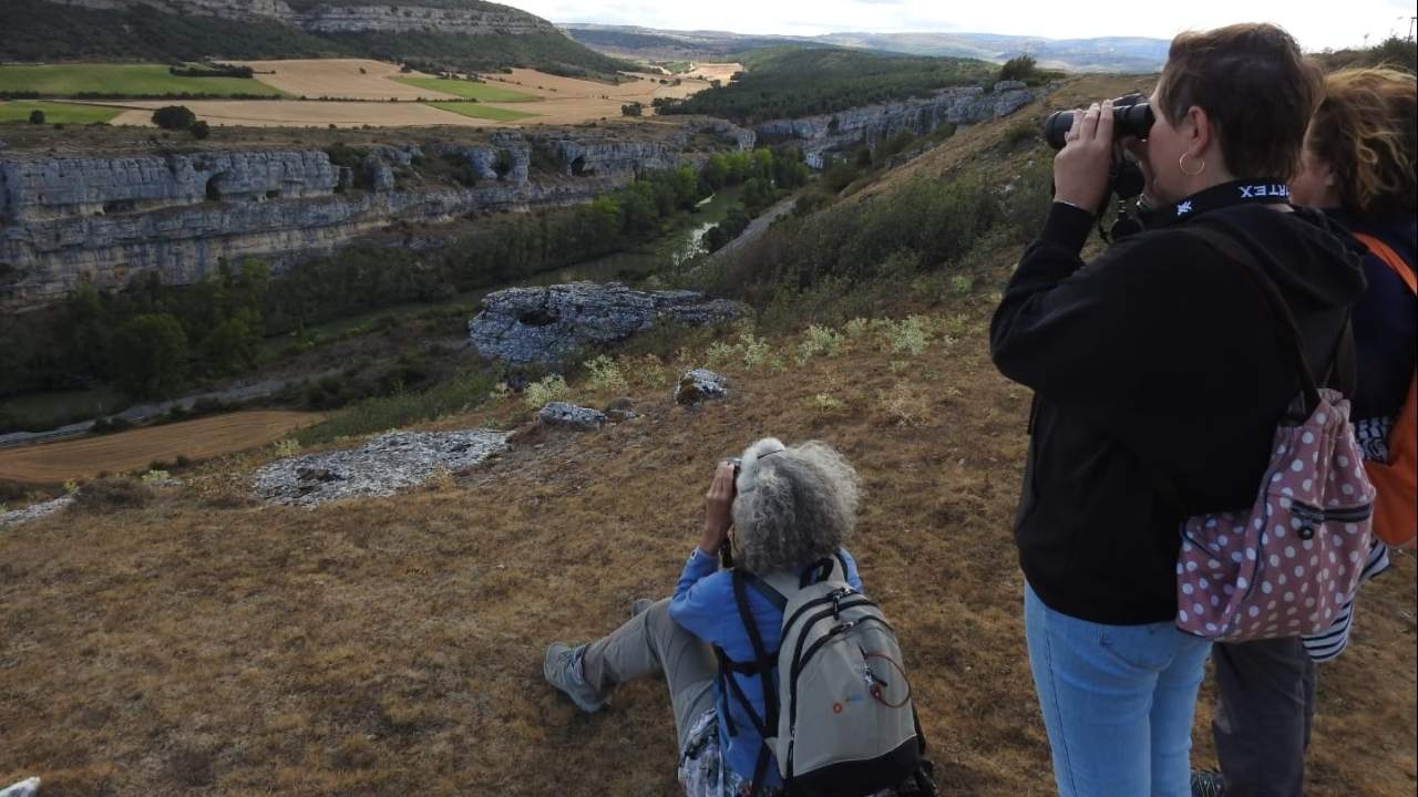 Three people with binoculars looking for birds