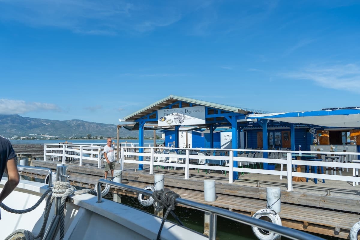 Visit with mussel or oyster tasting at Avi Agustí's mussel farm (transportation not included)