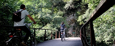 Imagen de BONO REGALO - DÍA COMPLETO Alquiler Bicicleta Senda del Oso