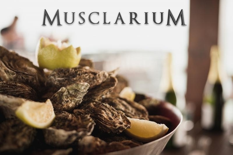 Visita y degustacion en Musclarium con taxi maritimo (mejillones y ostras)