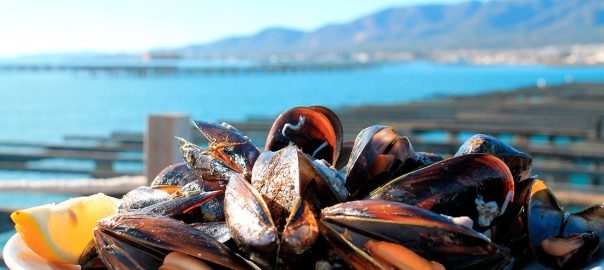 GIFT VOUCHER- Mussel farm excursion with tasting of mussels (boat included)