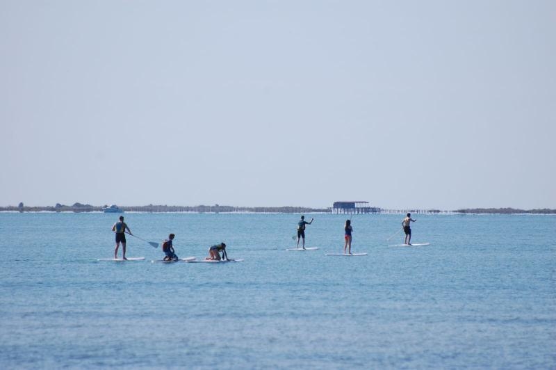 Paddle surf avec un guide expert dans la baie des Alfacs