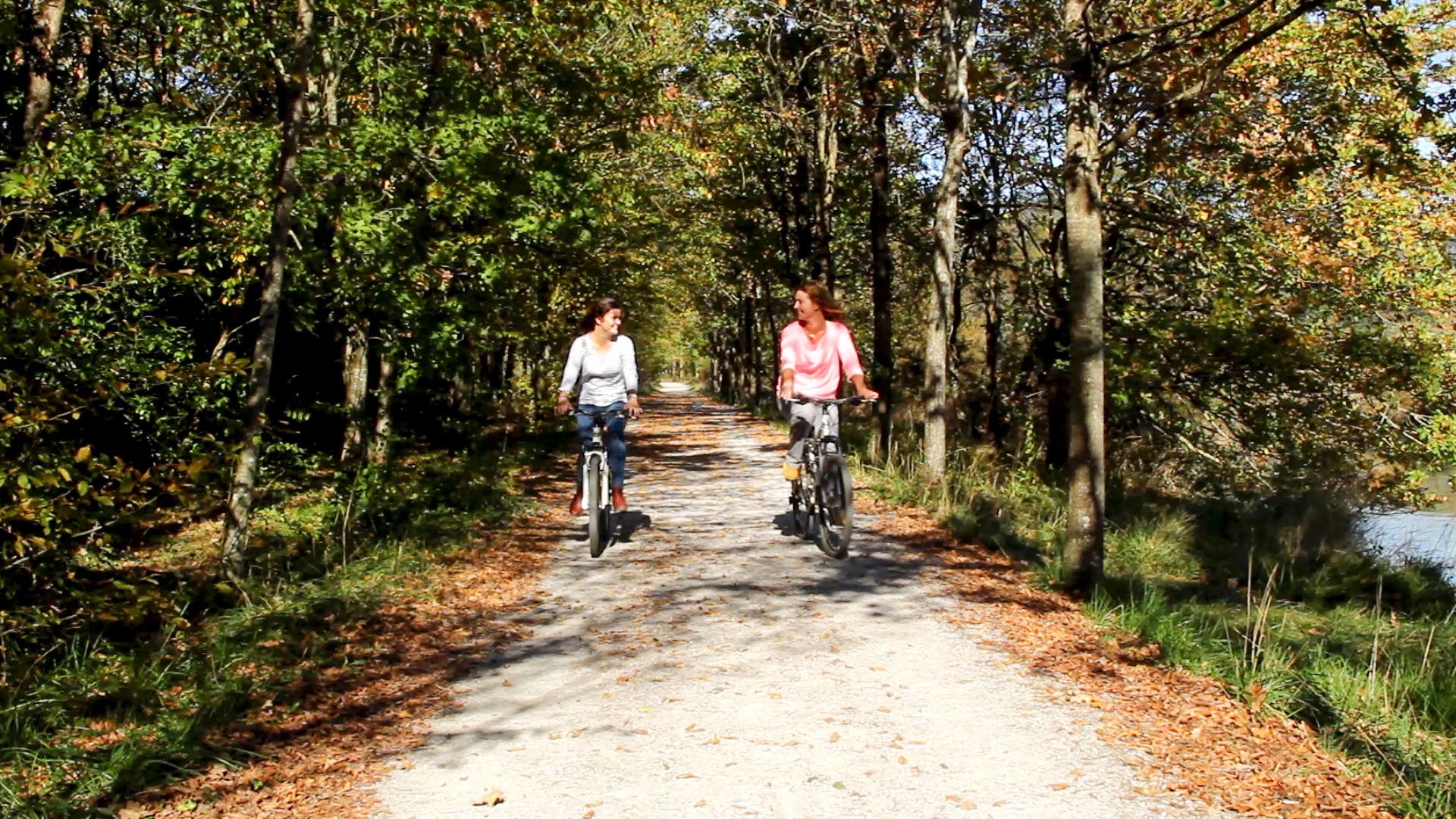  Dos personas en bicicleta disfrutando por un sendero por la naturaleza