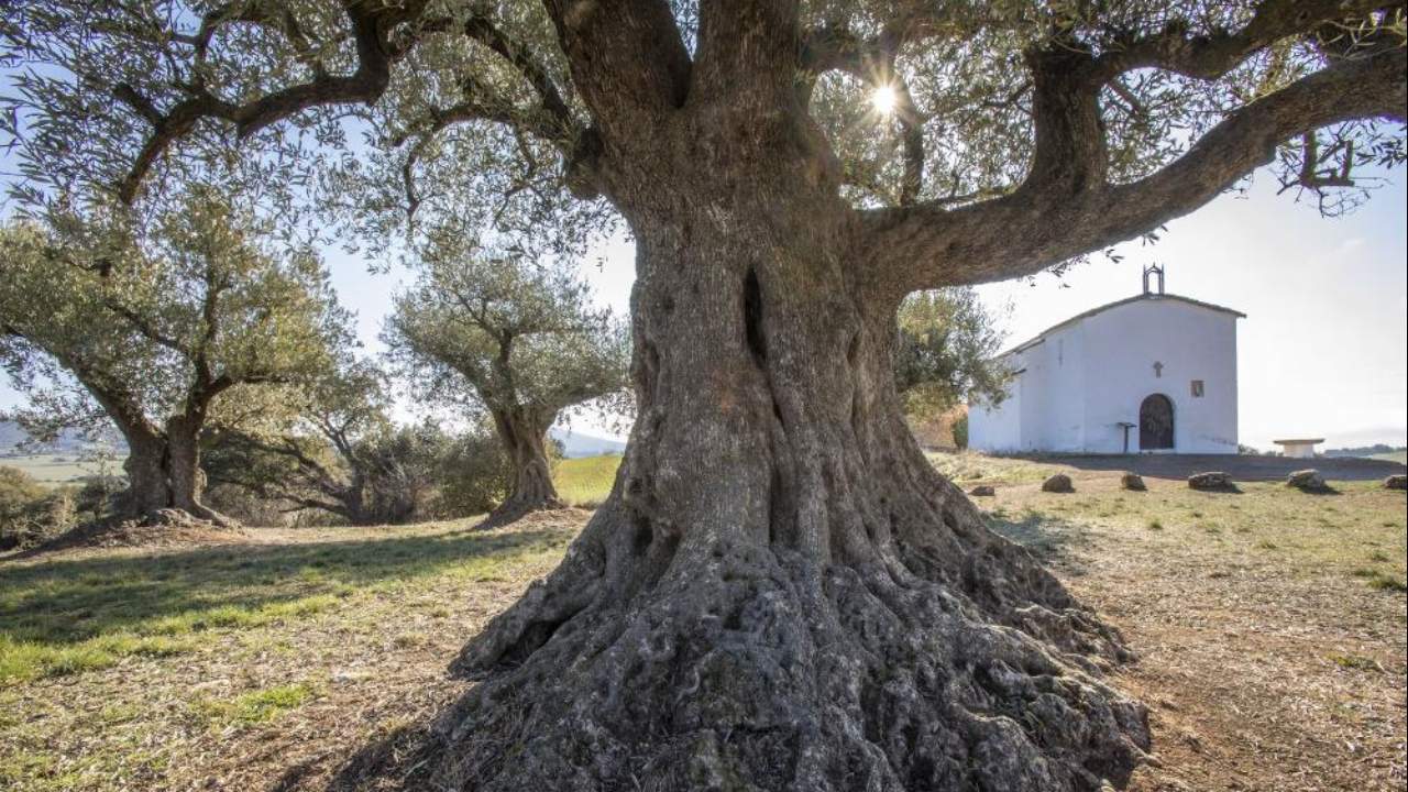Ermita de Baells, La Litera. Destino Huesca