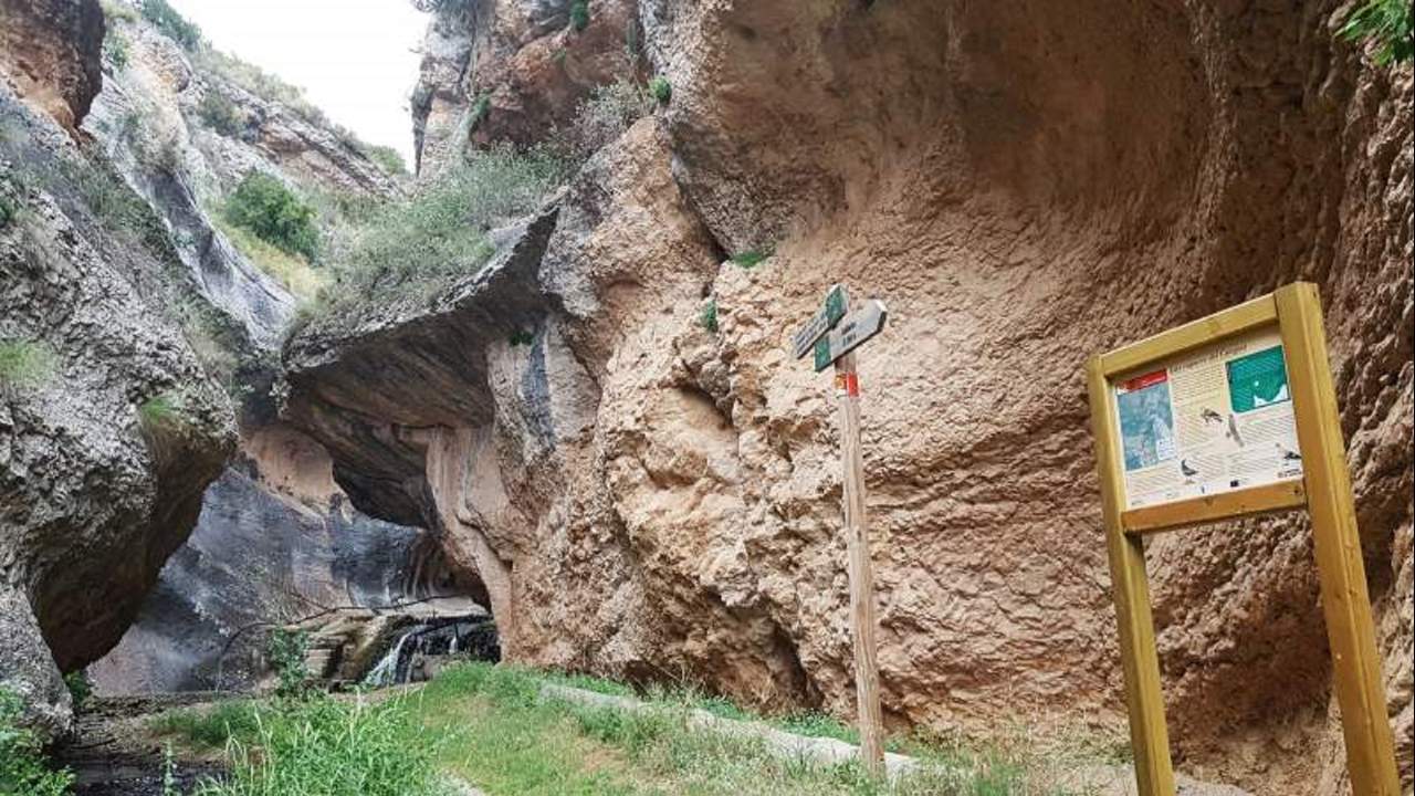 Ruta ornitol&oacute;gica La Litera. Destino Huesca