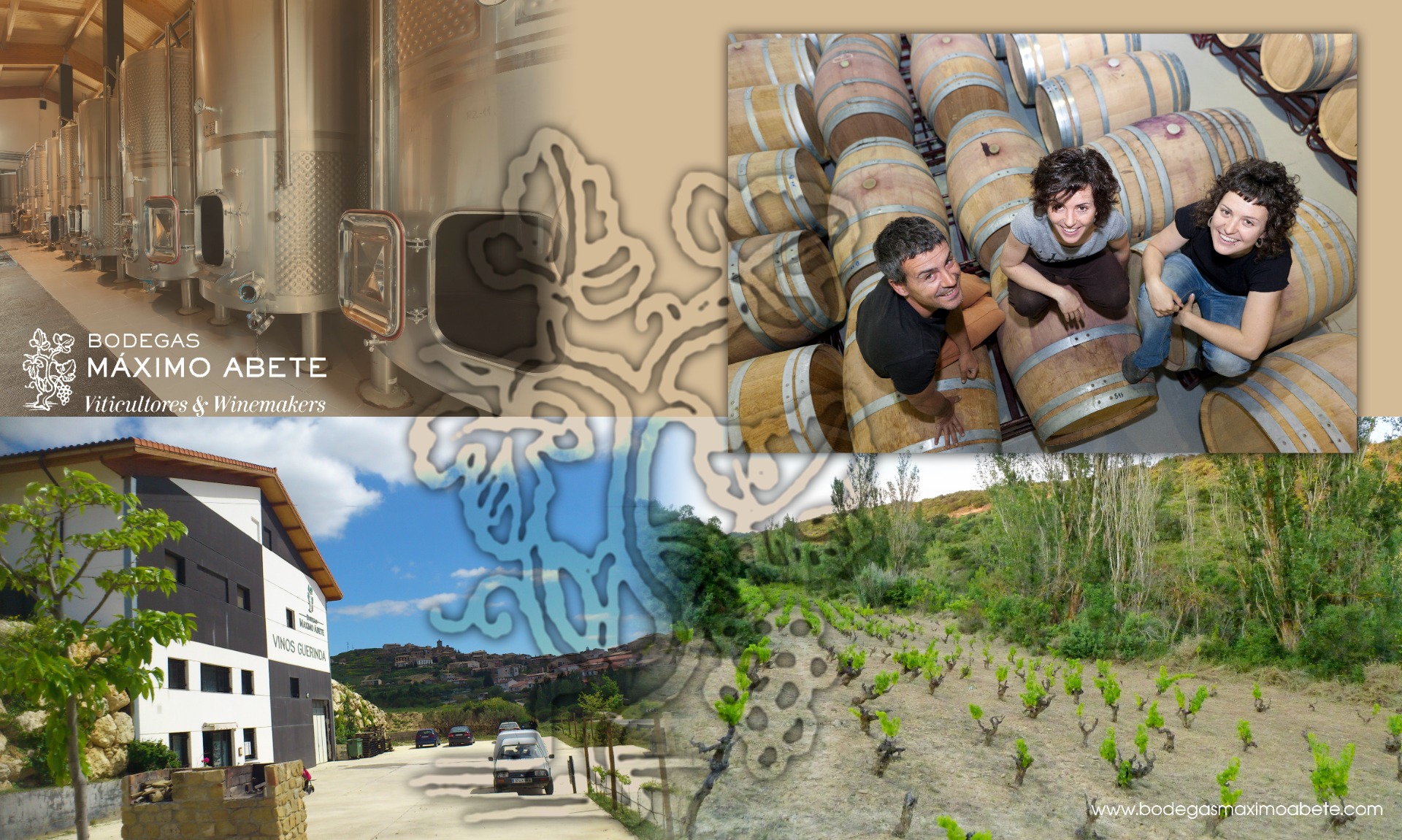  Visita a Bodega & cata de 3 Vinos & 2 Pintxos producto artesanal local Km0