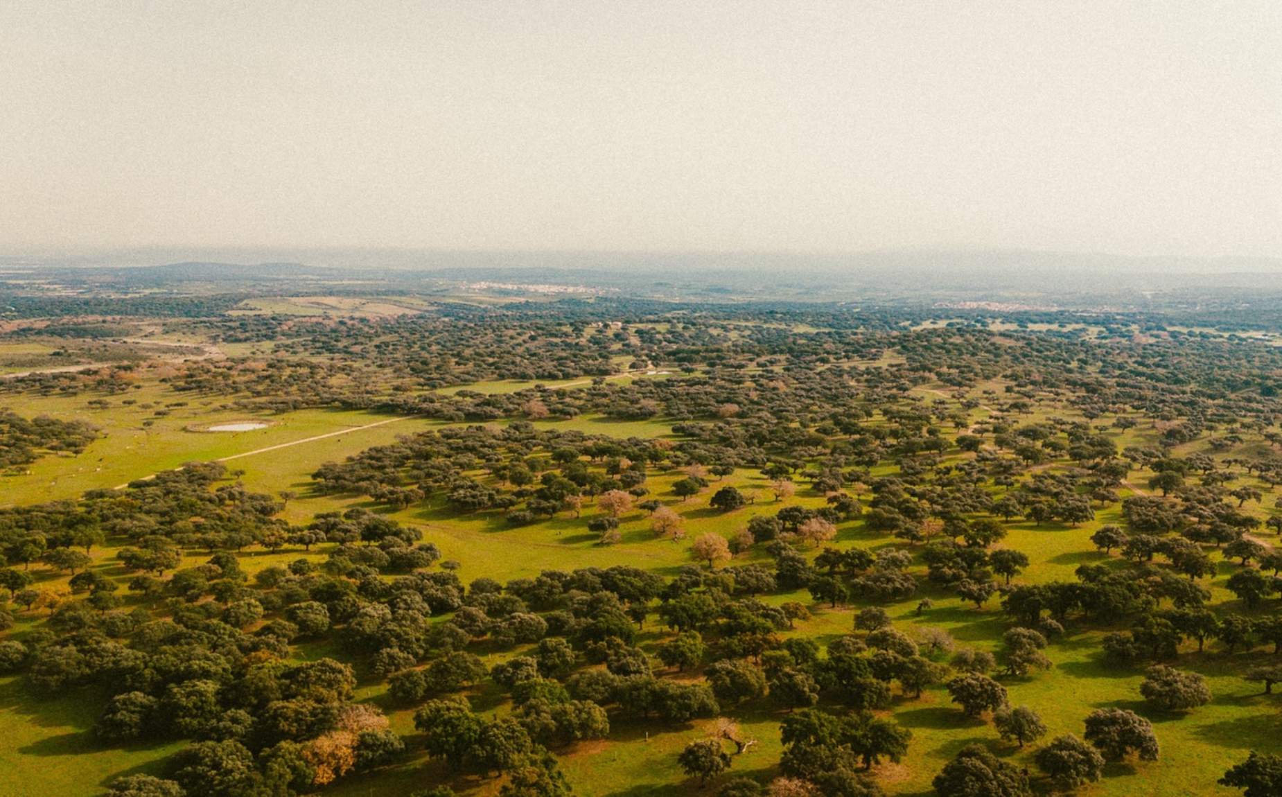 Panoramic view of Dehesas de Trasierra Tierras de Granadilla