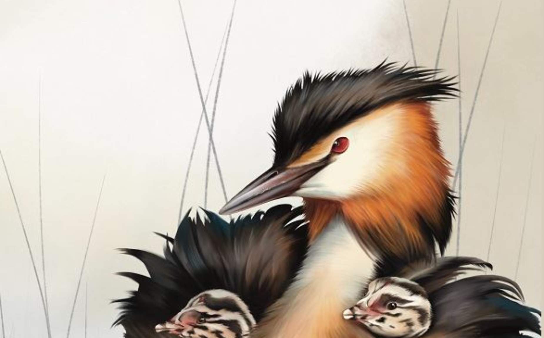 FIO 2026 EN EXTREMADURA
