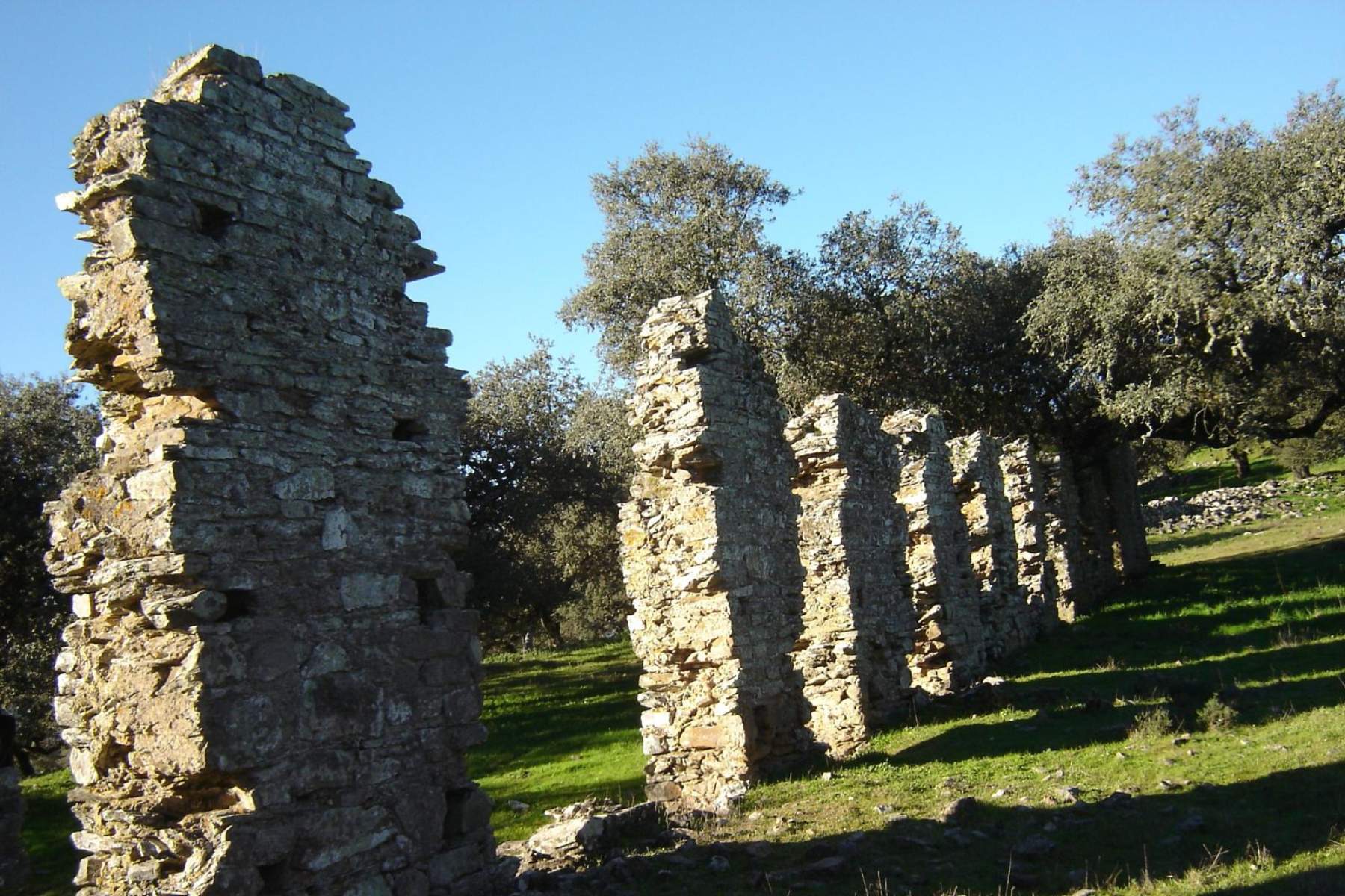 Yacimiento Arqueol&oacute;gico de Nert&oacute;briga en Extremadura
