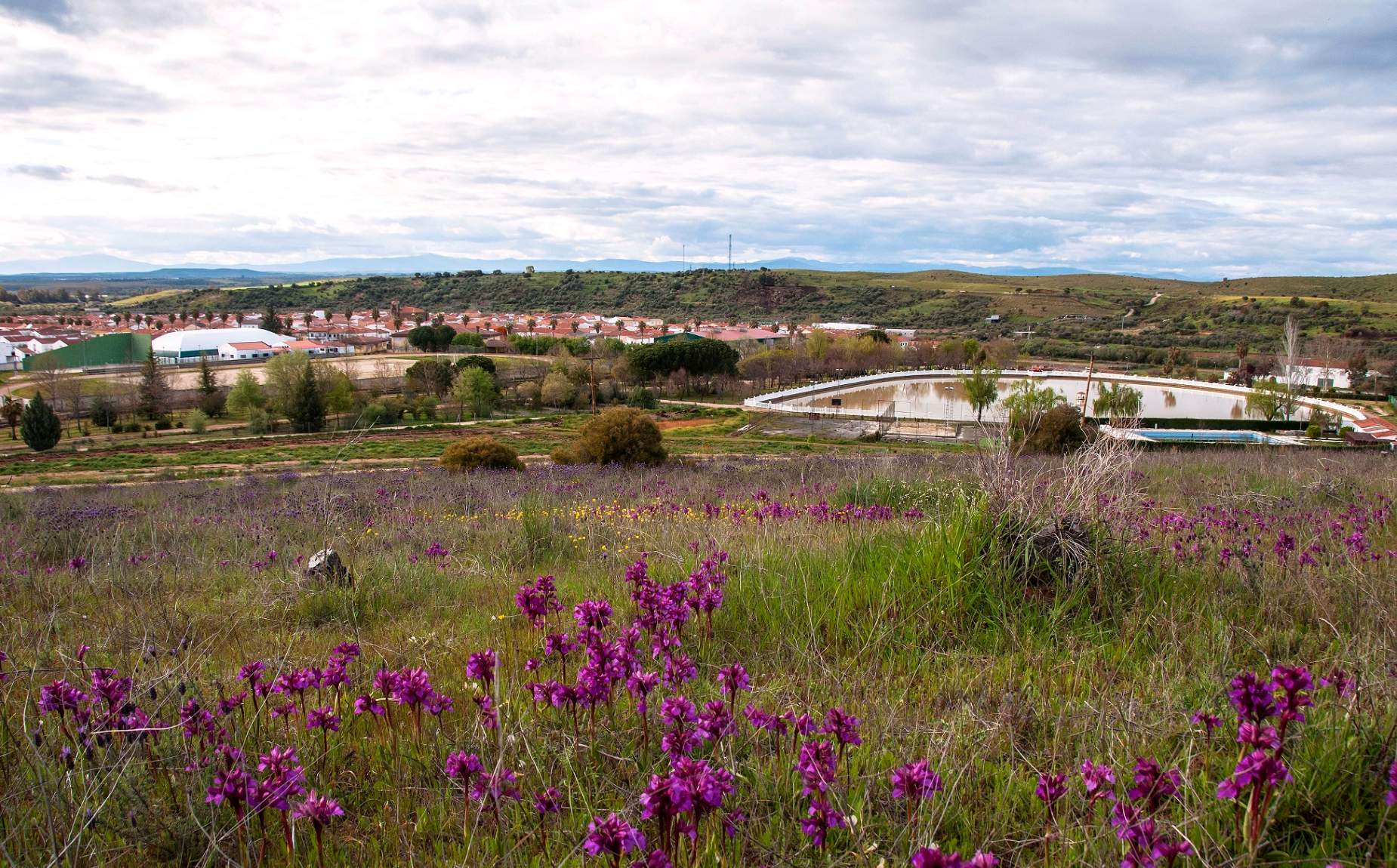 El Cerro Tomillar de Riolobos