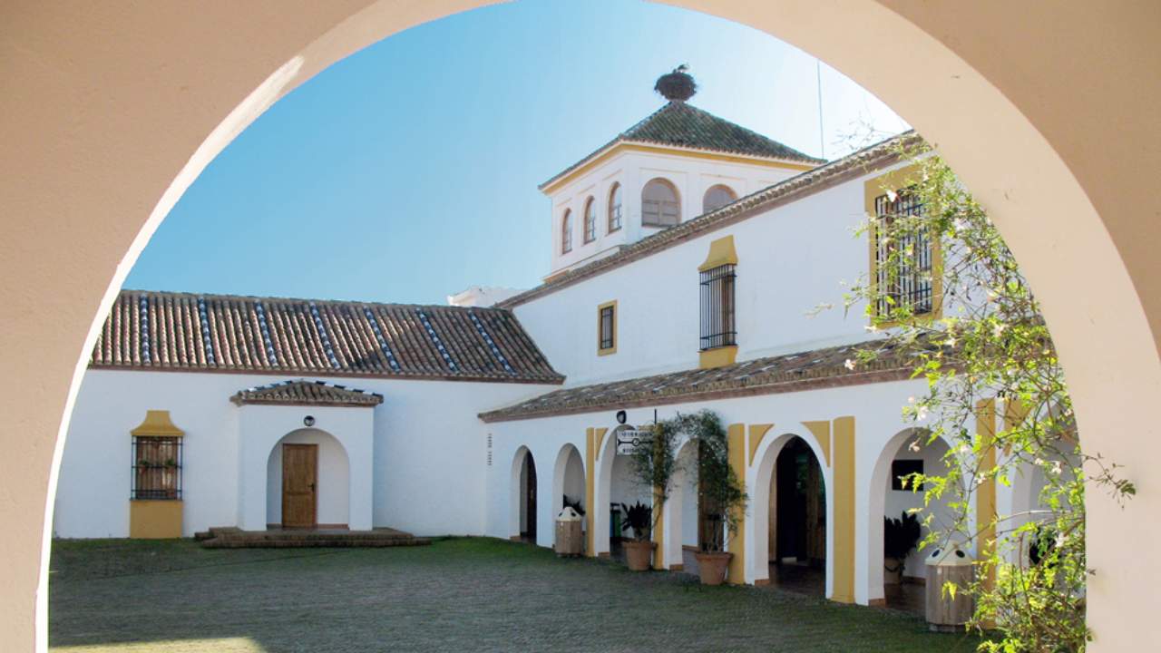 Fundaci&oacute;n Do&ntilde;ana 21