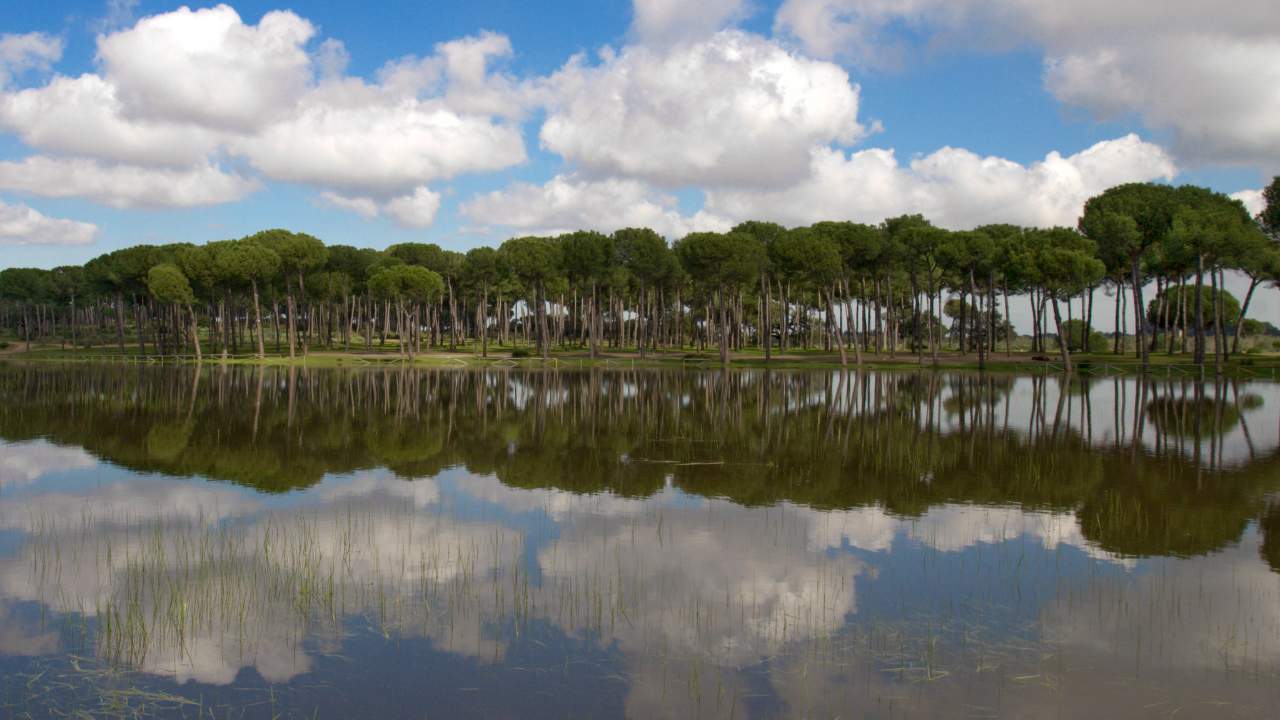 Archivo Prodetur / Turismo de la Provincia de Sevilla